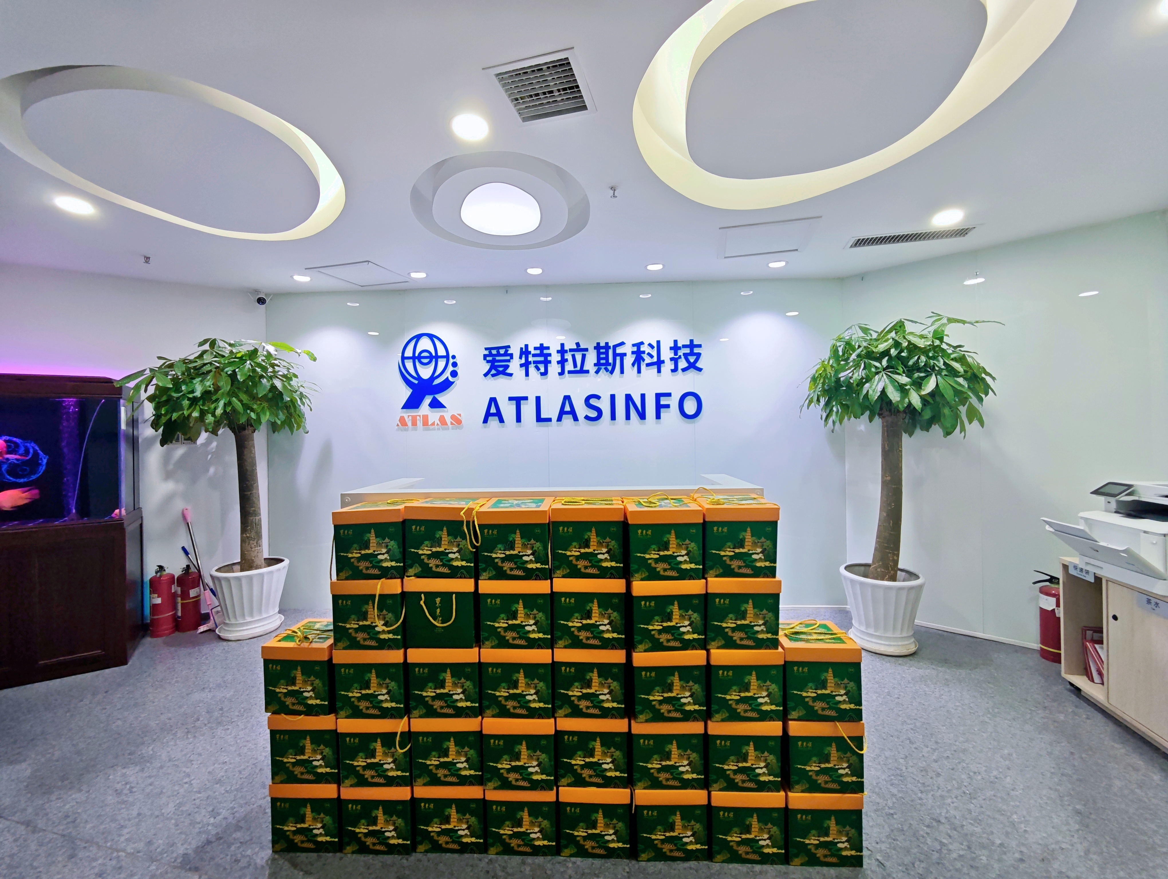 端午團圓時(shí)，思念是粽葉包裹的情